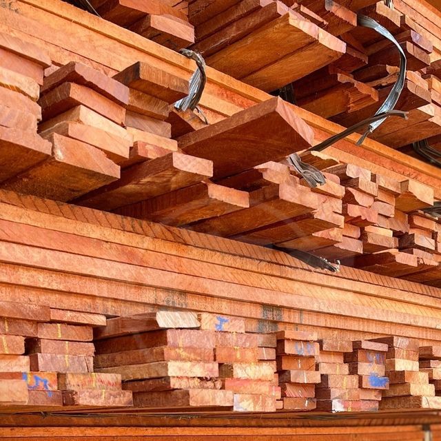 GỖ DẦU (DIPTEROCARP WOOD / MELALEUCA WOOD) 3