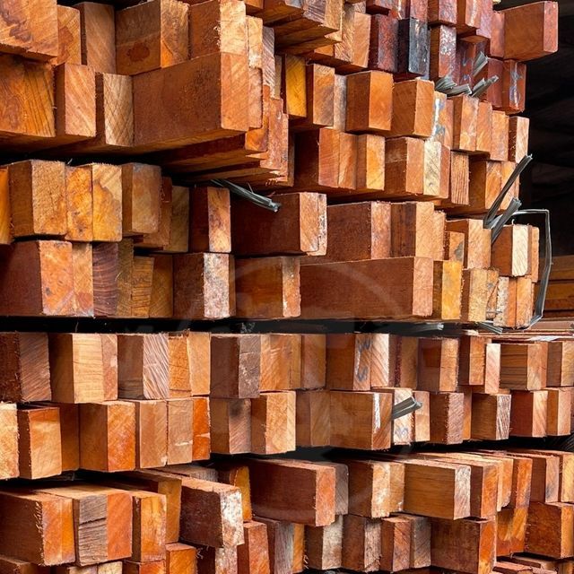 GỖ DẦU (DIPTEROCARP WOOD / MELALEUCA WOOD) 4