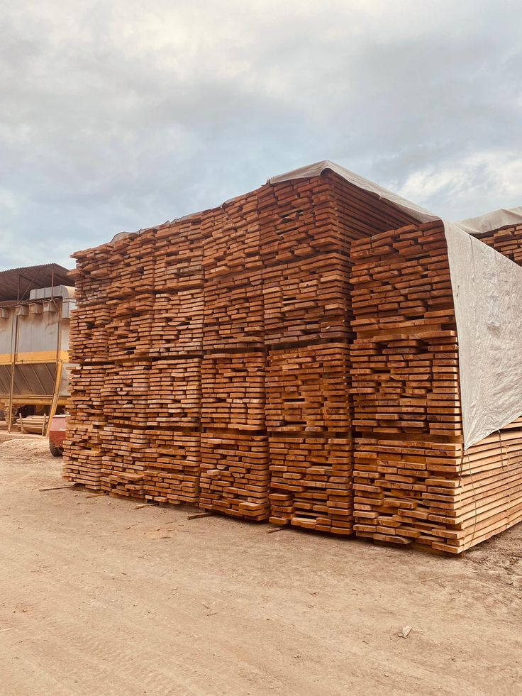 GỖ DẦU (DIPTEROCARP WOOD / MELALEUCA WOOD) 6