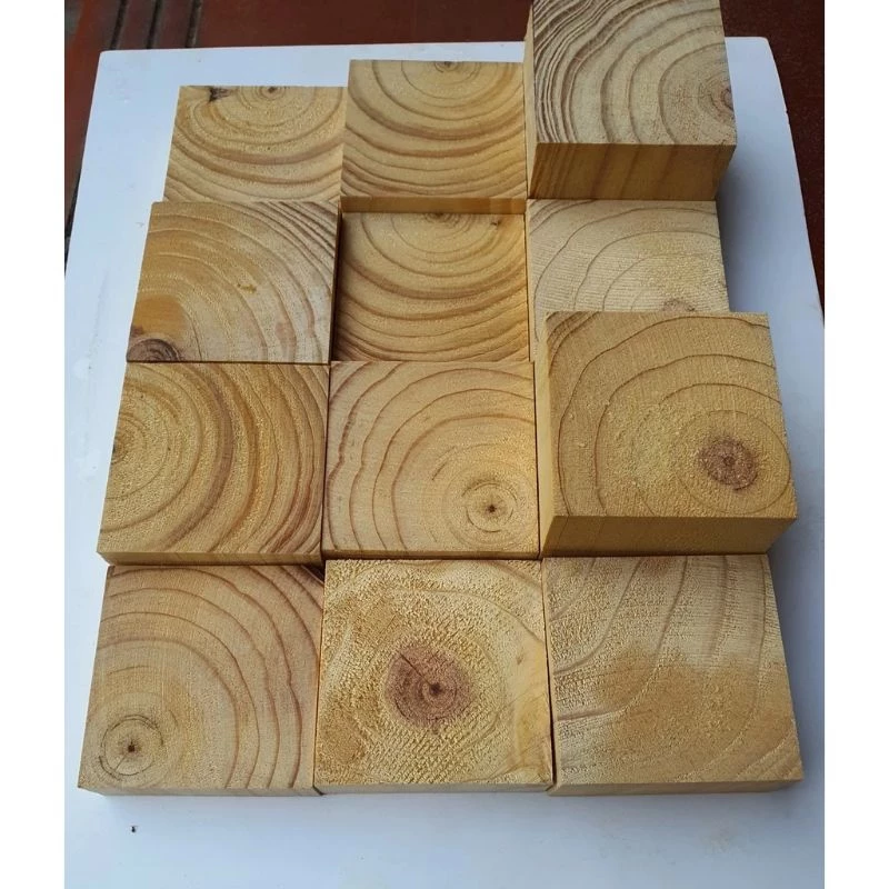 GỖ VUÔNG 10×10 CM (SQUARE TIMBER 10x10 CM) 4