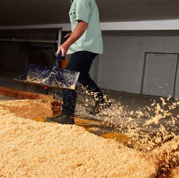 BỘT CƯA – SAWDUST / MÙN CƯA GỖ 3