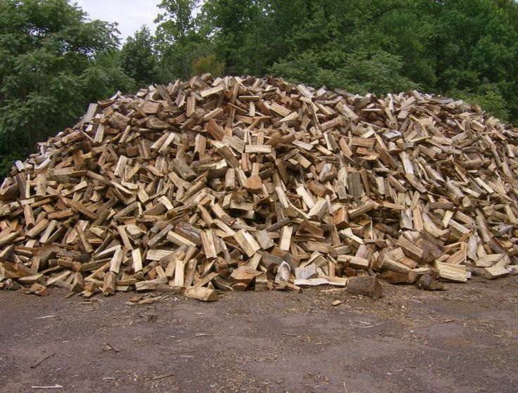 CỦI GỖ (FIREWOOD / WOOD LOGS) 2