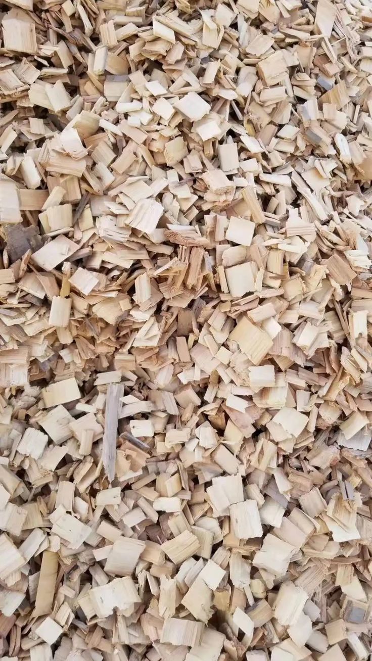 DĂM GỖ – WOOD CHIPS / WOOD SHAVINGS 2